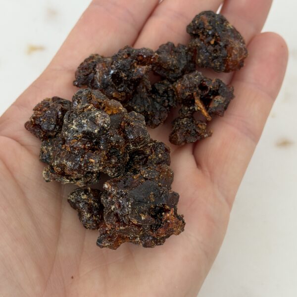 Mirra (Commiphora myrrha) Kadzidło